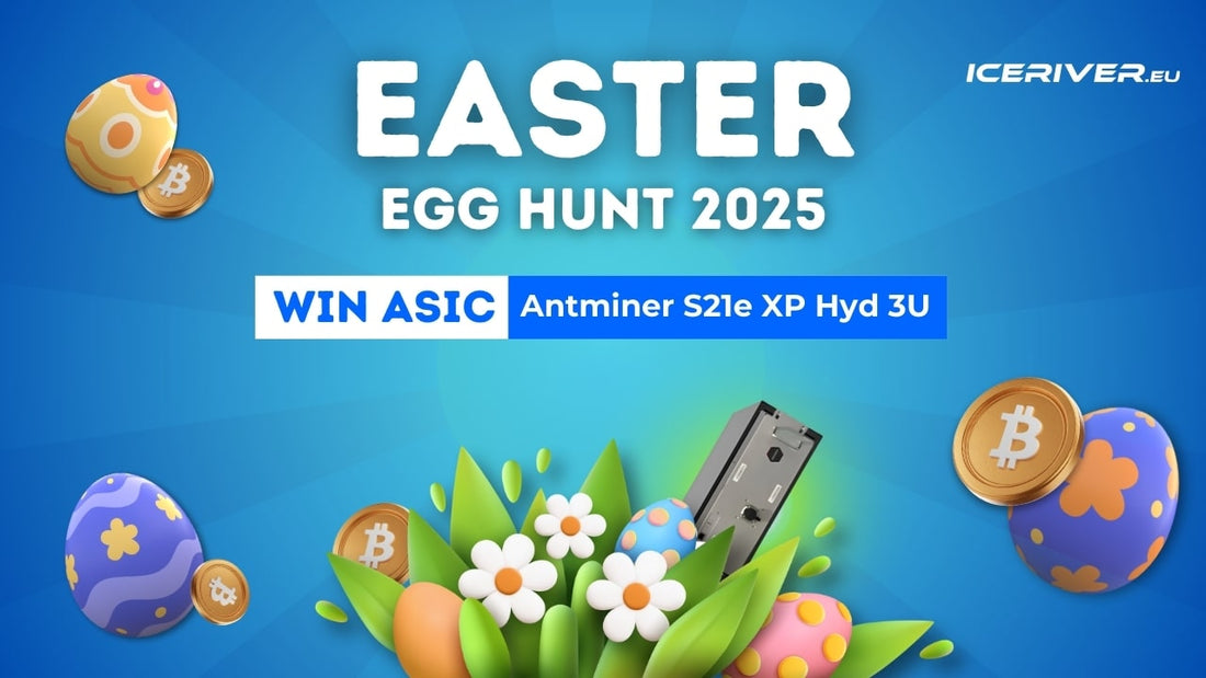 Easter Asic Giveaway – Find the Egg, Win a Hosted S21e XP
